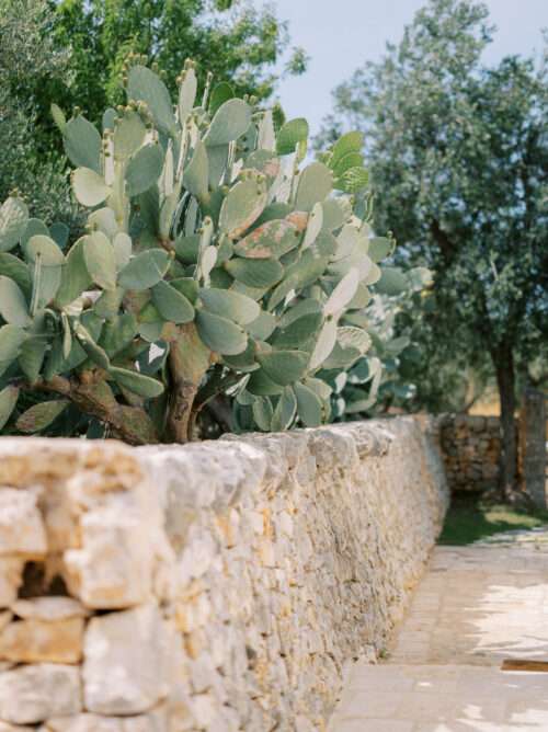 Details from a spring wedding at Masseria Parco della Grave in Puglia, Italy