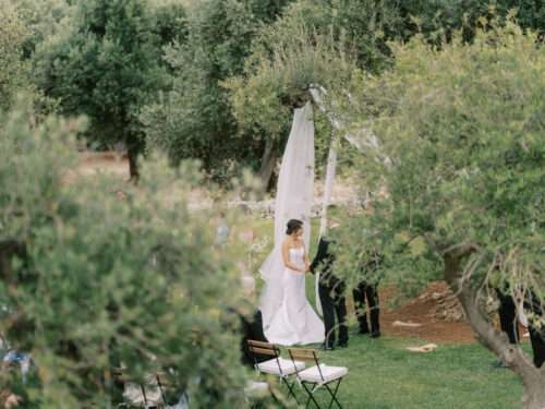 Wedding ceremony in an olive grove from a Masseria Parco della Grava wedding in Puglia, Italy