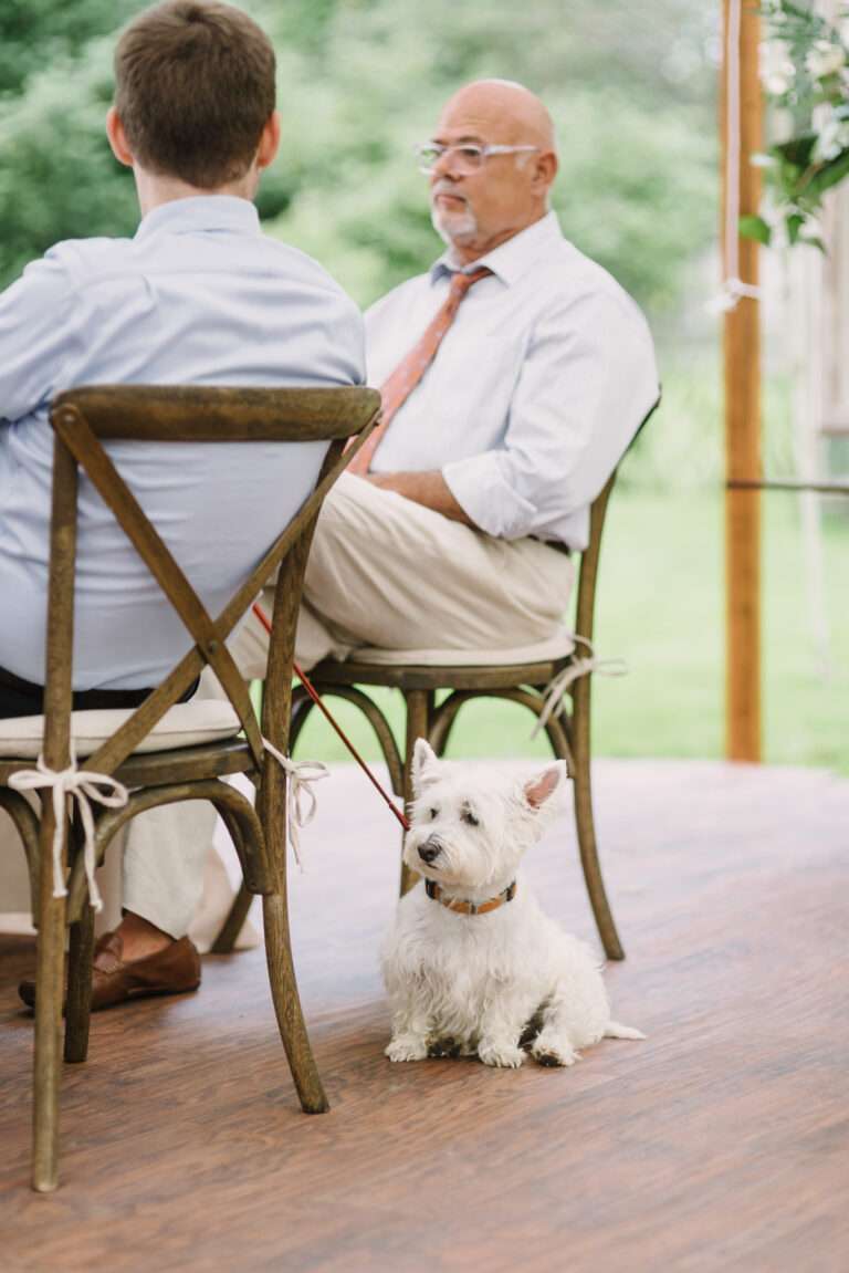 Backyard wedding reception from a small wedding at a private residence in Shaker Heights, Ohio