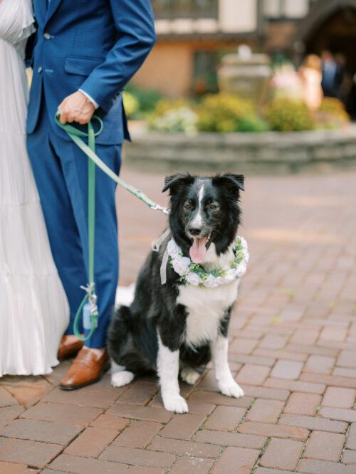 Natural and organic summer wedding photos filled with bold colors at the Club at Hillbrook in Chagrin Falls, Ohio