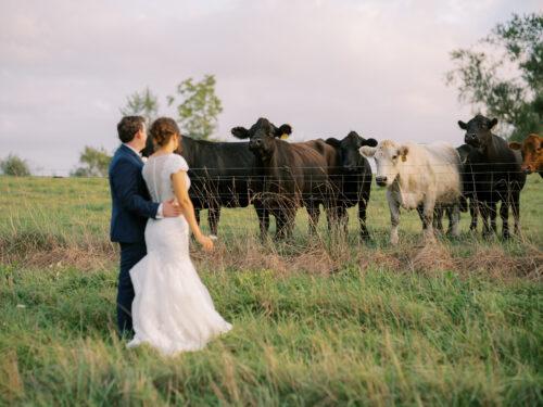 Rural Society at Warwick Farm wedding photos in summer garden style near Mount Vernon, Ohio